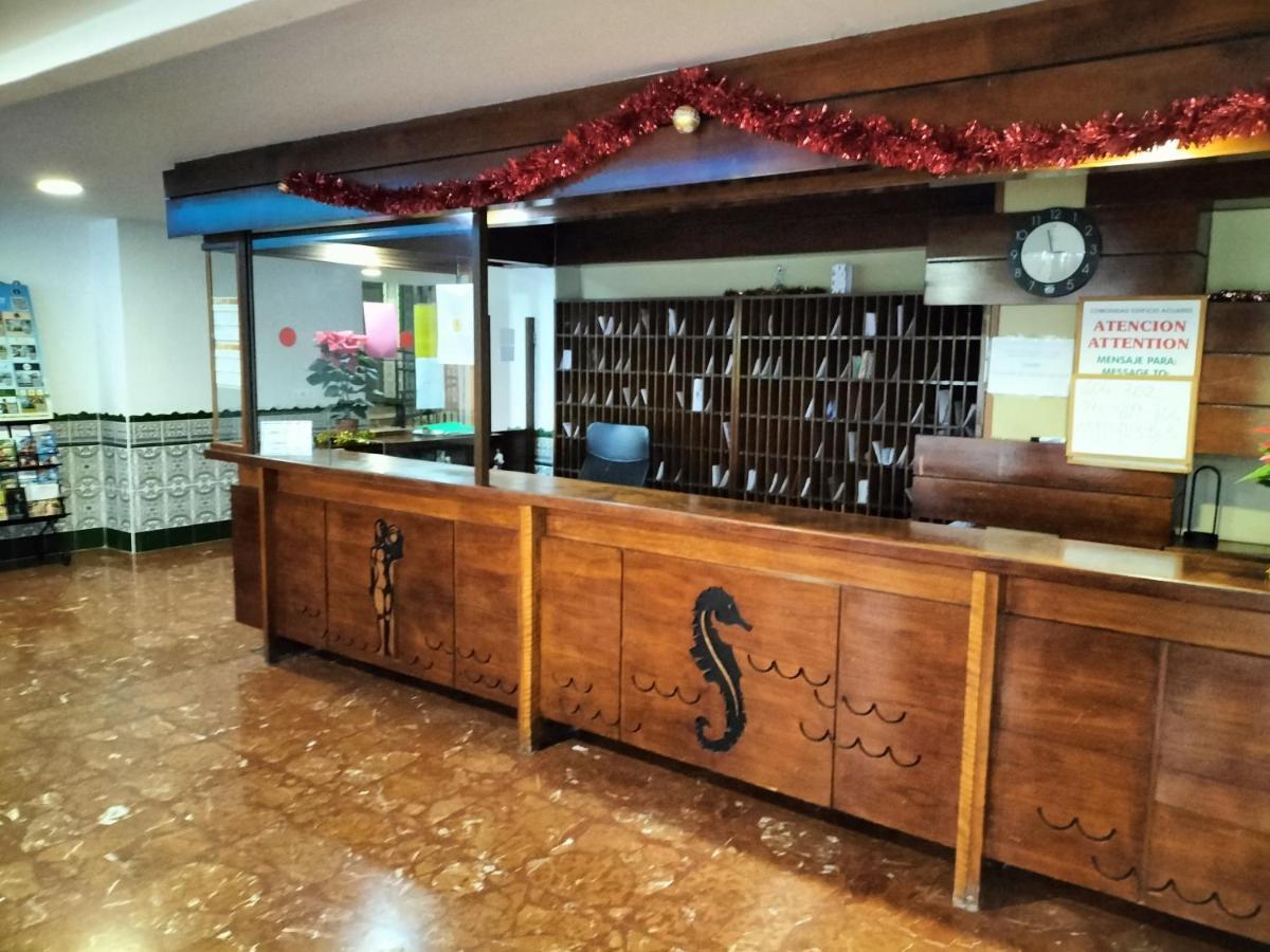 Acuario'S Home בנאלמדנה מראה חיצוני תמונה